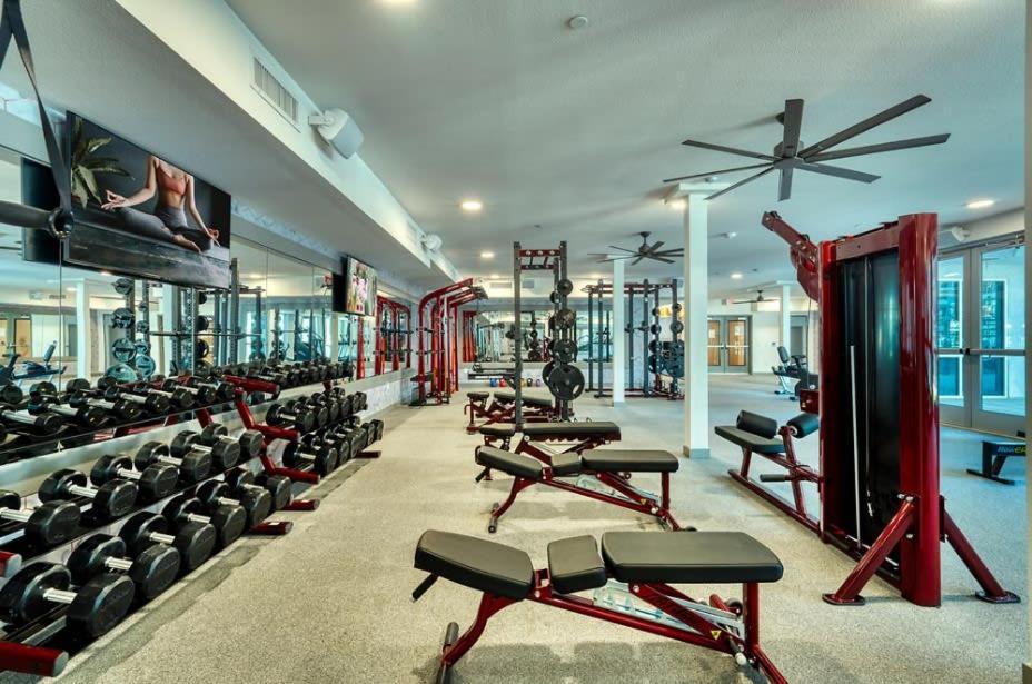 Cozysuites Phx Roro Gym, Pool, Pets, Parking! #9 Phoenix Esterno foto